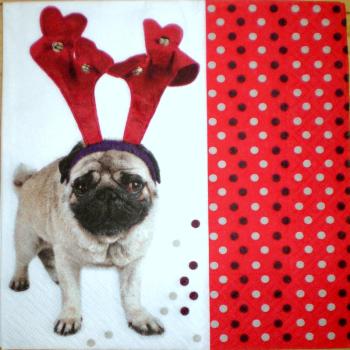 009 Hunde (9)
